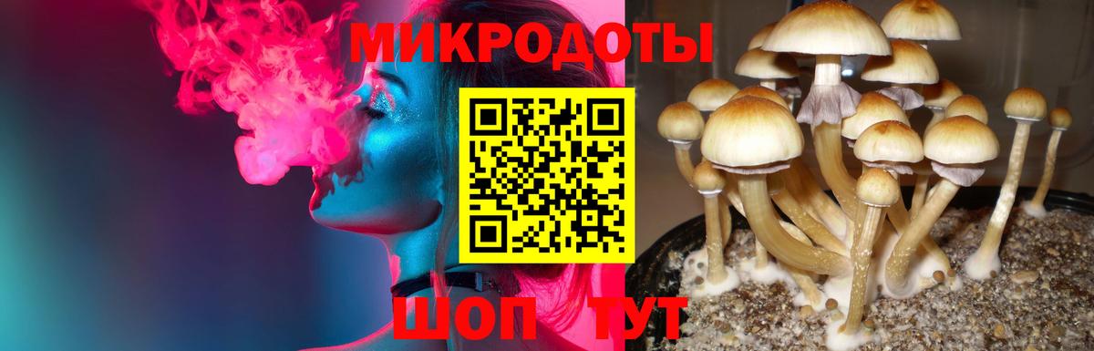 Каменка  Галлюциногенные грибы мицелий  Вход с VPN 